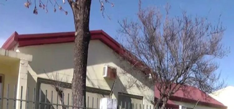 Comedores escolares: “No podés darle una rodaja de budín a los niños que vienen realmente con hambre”