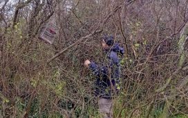 Personal de Áreas Naturales Protegidas retiró una trampera para aves en el Parque Florístico