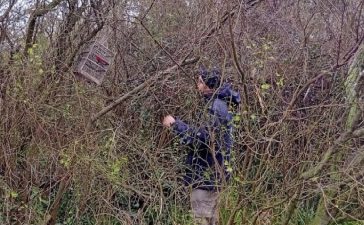 Personal de Áreas Naturales Protegidas retiró una trampera para aves en el Parque Florístico