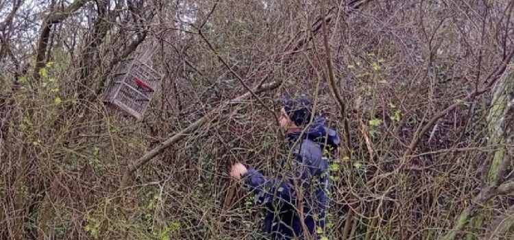 Personal de Áreas Naturales Protegidas retiró una trampera para aves en el Parque Florístico