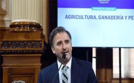 El senador libertario Joaquín Benegas Lynch tiene una empresa que gestiona ventas de tierras a extranjeros