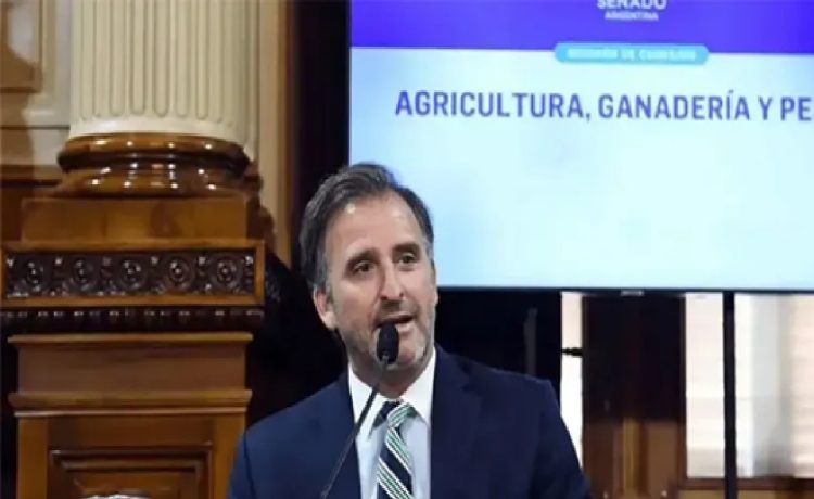 El senador libertario Joaquín Benegas Lynch tiene una empresa que gestiona ventas de tierras a extranjeros