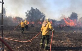 Diputados exigen explicaciones al Ejecutivo por las demoras en las prestaciones a los bomberos voluntarios