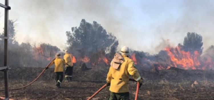 Diputados exigen explicaciones al Ejecutivo por las demoras en las prestaciones a los bomberos voluntarios