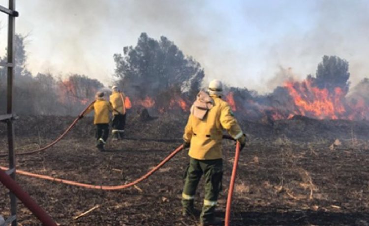 Diputados exigen explicaciones al Ejecutivo por las demoras en las prestaciones a los bomberos voluntarios