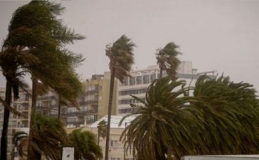 Meteorólogo anunció cuándo llegará a Uruguay el temporal de Santa Rosa: “Muy fuerte”