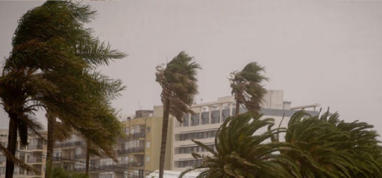 Meteorólogo anunció cuándo llegará a Uruguay el temporal de Santa Rosa: “Muy fuerte”