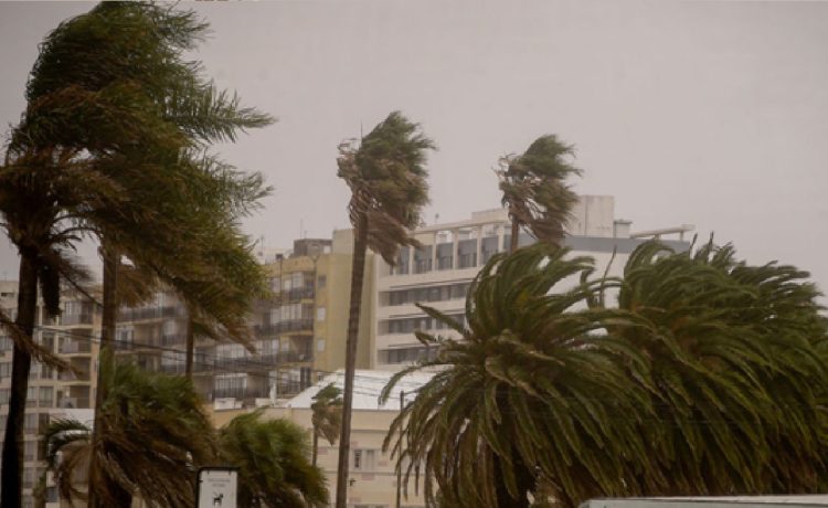 Meteorólogo anunció cuándo llegará a Uruguay el temporal de Santa Rosa: “Muy fuerte”