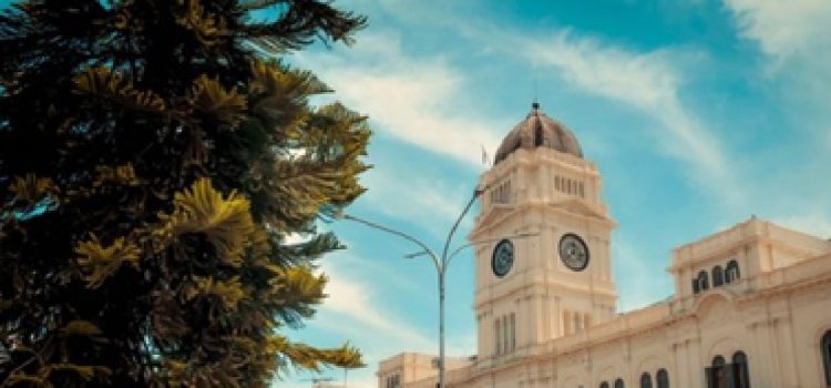 El oficialismo busca poner servicios esenciales en manos privadas y extranjeras