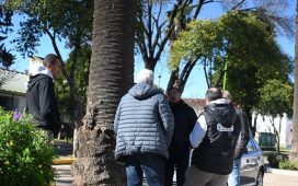 Picudo rojo: especialista uruguayo valoró la iniciativa de Davico para evitar el ataque de la especie asiática