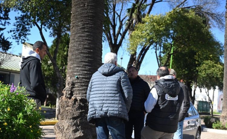 Picudo rojo: especialista uruguayo valoró la iniciativa de Davico para evitar el ataque de la especie asiática