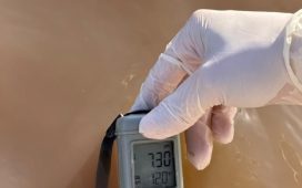 Se realizó un muestro para evaluar la calidad del agua del río Gualeguaychú