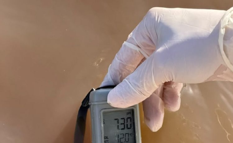 Se realizó un muestro para evaluar la calidad del agua del río Gualeguaychú
