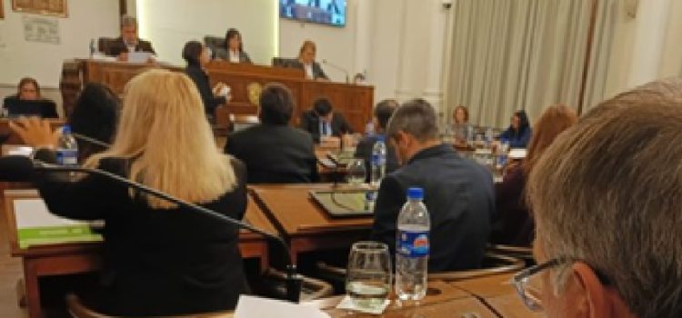 El Senado postergó el tratamiento de los consorcios camineros y se profundizó la ruptura del bloque del PJ