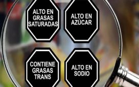 Los octógonos: Presencia o ausencia no modifican si el conenido es el mismo