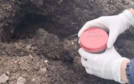 El Ecoparque genera compost para los espacios verdes de la ciudad
