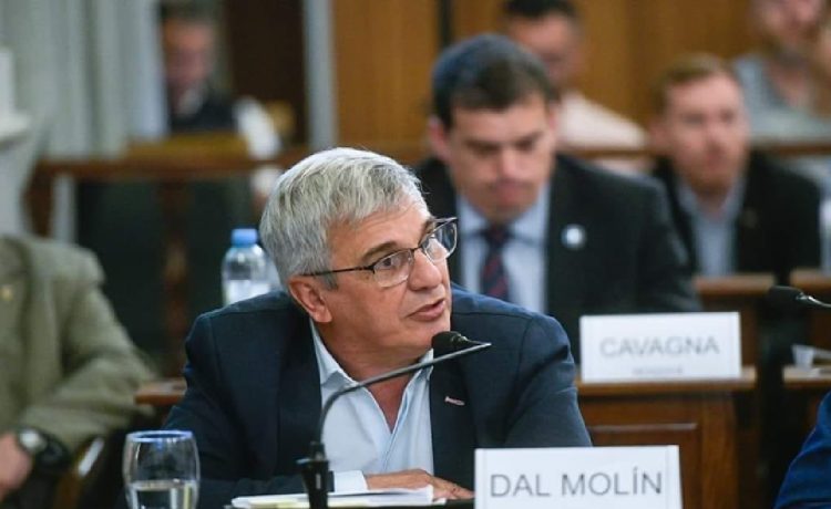 senador dal molin