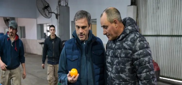 Michel y Bahl reclaman al ministro Quirno por la apertura del mercado de Estados Unidos para la exportación de cítricos dulces argentinos