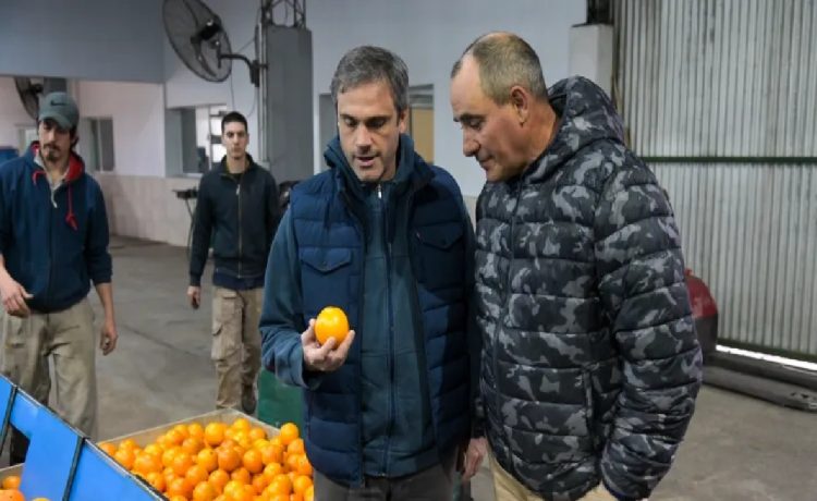 Michel y Bahl reclaman al ministro Quirno por la apertura del mercado de Estados Unidos para la exportación de cítricos dulces argentinos