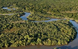 Día Mundial del Hábitat: la importancia de cuidar las Áreas Naturales Protegidas