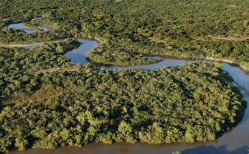 Día Mundial del Hábitat: la importancia de cuidar las Áreas Naturales Protegidas