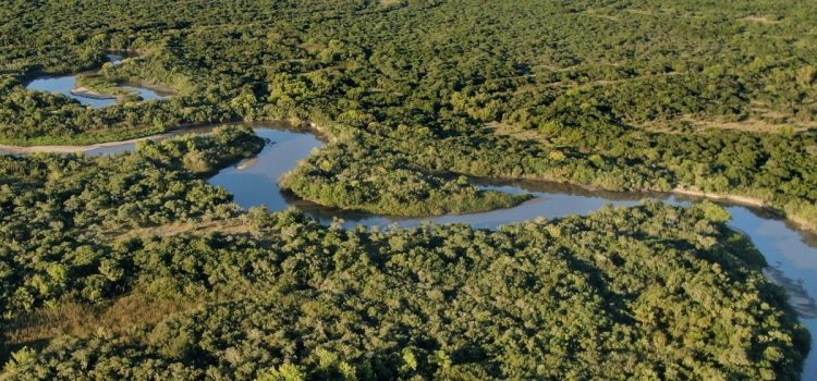 Día Mundial del Hábitat: la importancia de cuidar las Áreas Naturales Protegidas