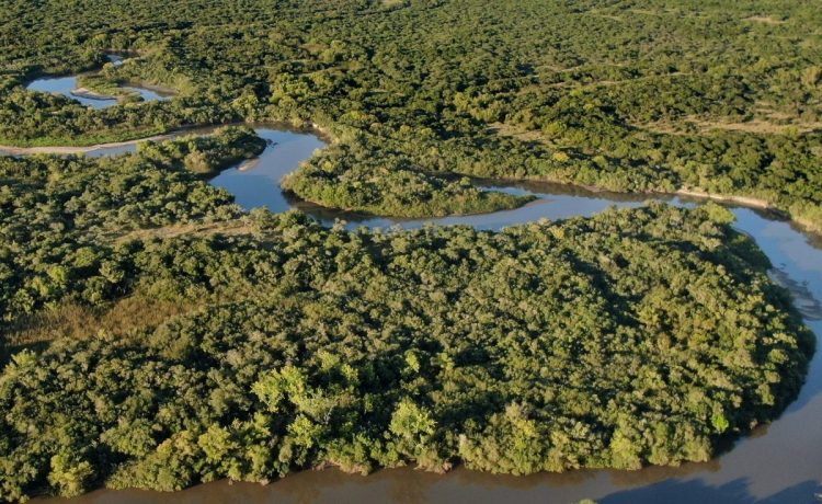 Día Mundial del Hábitat: la importancia de cuidar las Áreas Naturales Protegidas