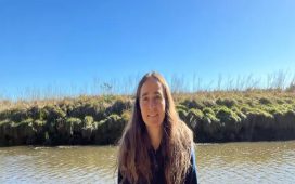 Ciencia incómoda: una investigadora que estudió plaguicidas en Argentina, a un paso de ser despedida del INTA