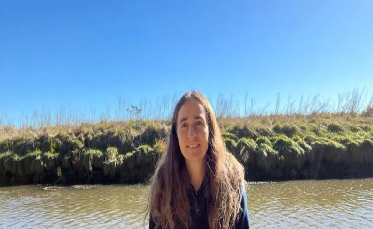 Ciencia incómoda: una investigadora que estudió plaguicidas en Argentina, a un paso de ser despedida del INTA
