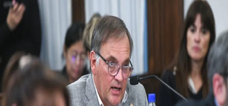 Berthet contradice a Vergara: “Tener dictamen sobre la reforma previsional nos llevará al menos dos semanas”