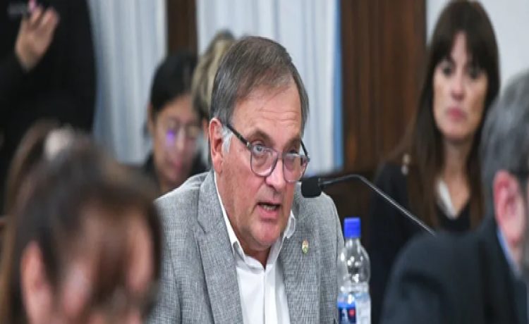 Berthet contradice a Vergara: “Tener dictamen sobre la reforma previsional nos llevará al menos dos semanas”