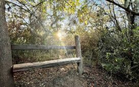 Día de las Áreas Protegidas: Gualeguaychú cuida su patrimonio natural y la biodiversidad local
