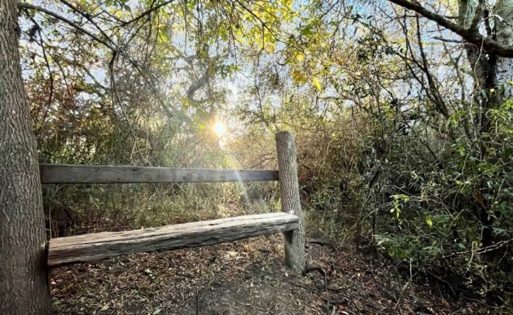 Día de las Áreas Protegidas: Gualeguaychú cuida su patrimonio natural y la biodiversidad local