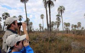 Se profundiza la crisis del turismo por el incremento de los costos operativos