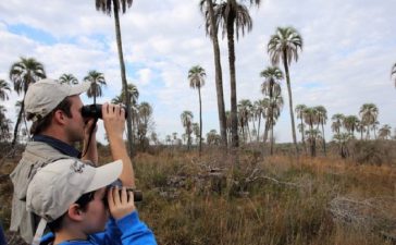Se profundiza la crisis del turismo por el incremento de los costos operativos