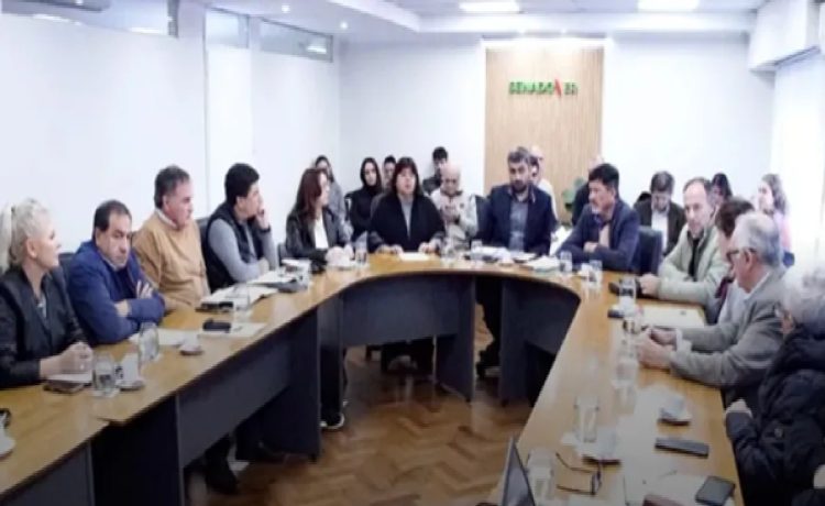 Trabajan en comisión para llevar el proyecto de reforma previsional el miércoles al recinto del Senado