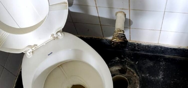 Docentes de escuela concordiense dieron a conocer “las horribles condiciones de los baños” y hablan de riesgo sanitario
