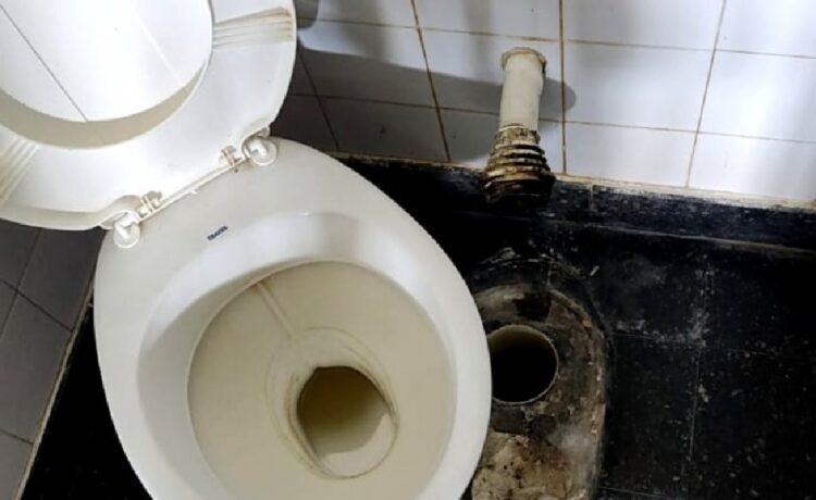 Docentes de escuela concordiense dieron a conocer “las horribles condiciones de los baños” y hablan de riesgo sanitario