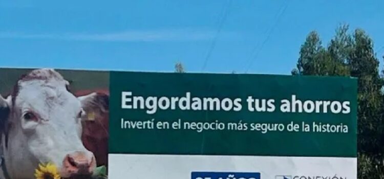 Conexión Ganadera: "es imposible" que los inversores recuperen su dinero, consideró Eduardo Blasina