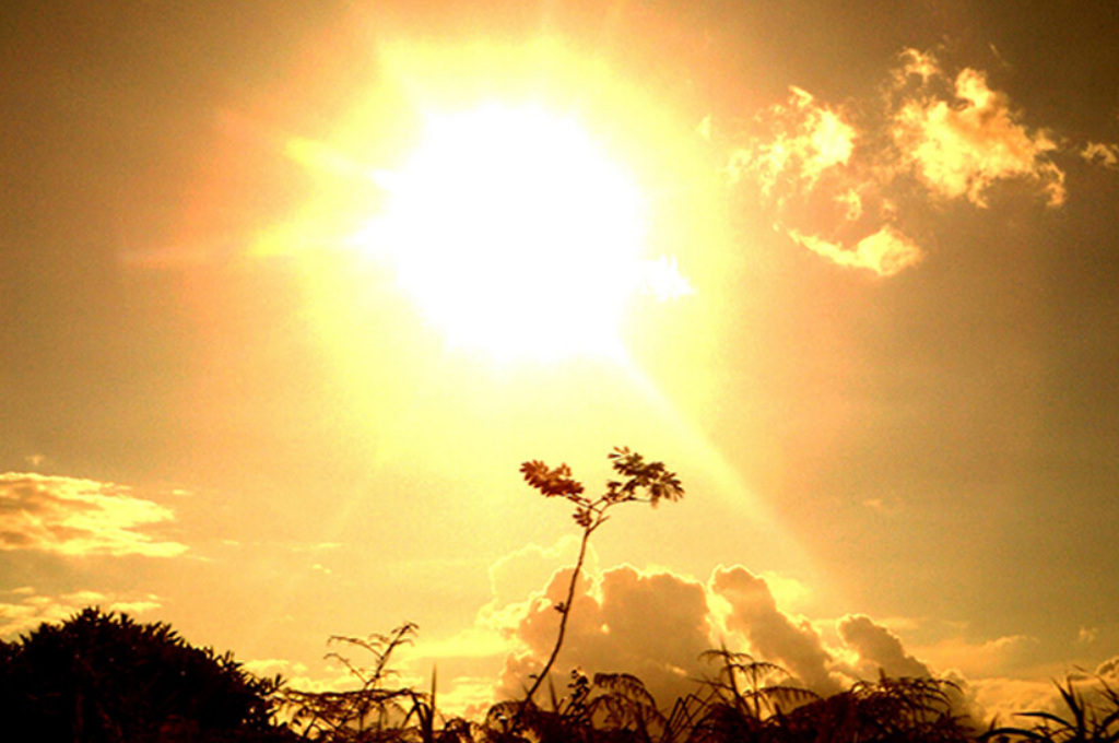 El 2023 fue el año más caluroso jamás registrado, pero el 2024 será peor