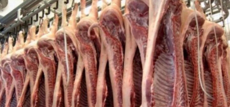 Cuatro empresas podrán exportar carne porcina a Uruguay