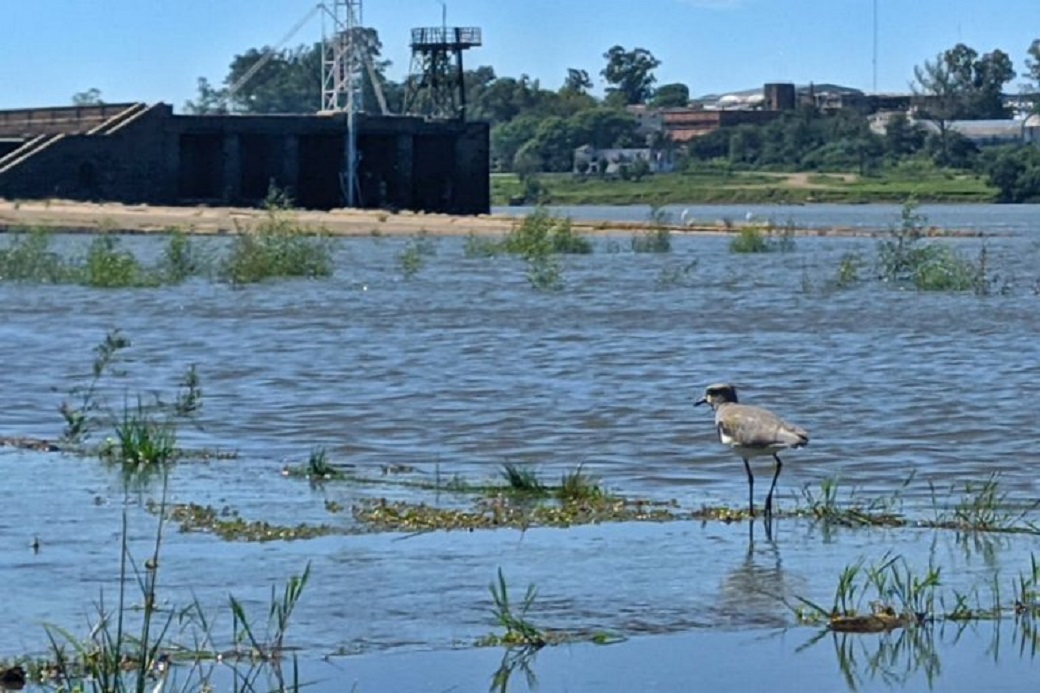 inundaciones
