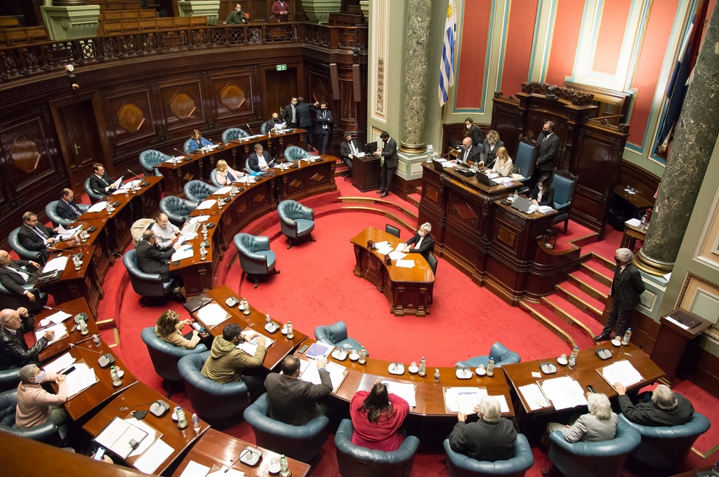 Senado pide al Ejecutivo exoneración de IVA a 19 productos