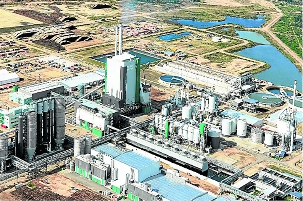 ¿Podría haber sido en Argentina? Uruguay ya va por su tercera planta de celulosa