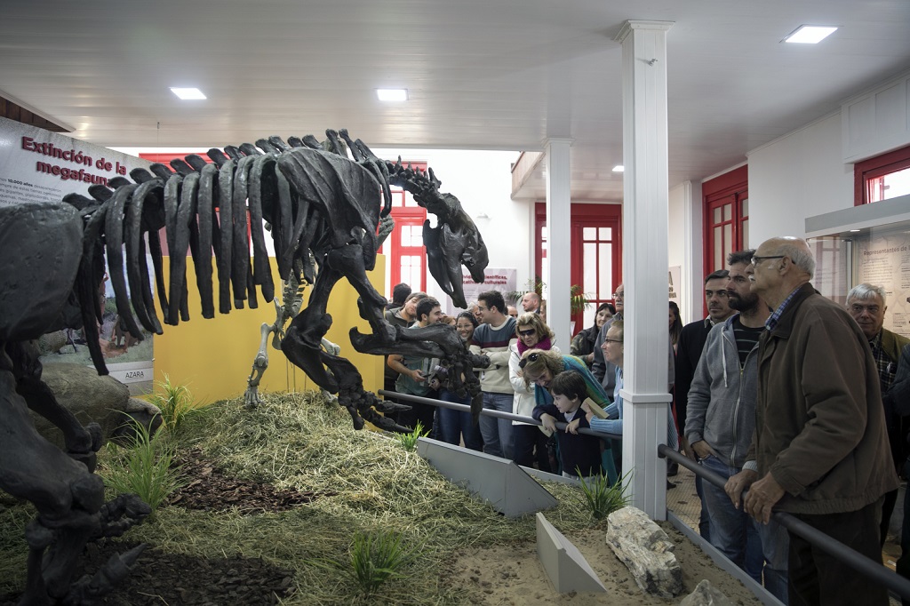 Recorrido guiado por el Museo de Ciencias Naturales y Antropológicas - Exposición de Insectos