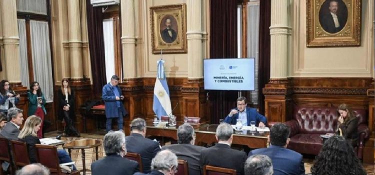 Polémicos dichos de una senadora del PRO: “No creo que los niños argentinos tengan derecho a venir al Garrahan a ser curados”