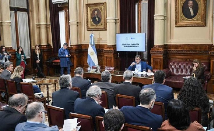 Polémicos dichos de una senadora del PRO: “No creo que los niños argentinos tengan derecho a venir al Garrahan a ser curados”