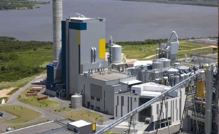 En un comunicado oficial, la empresa fUPM informó el domingo, que su producción en la planta de Fray Bentos sufrió un problema en el área de recuperación, que derivó en detener el procesamiento de pasta de celulosa.