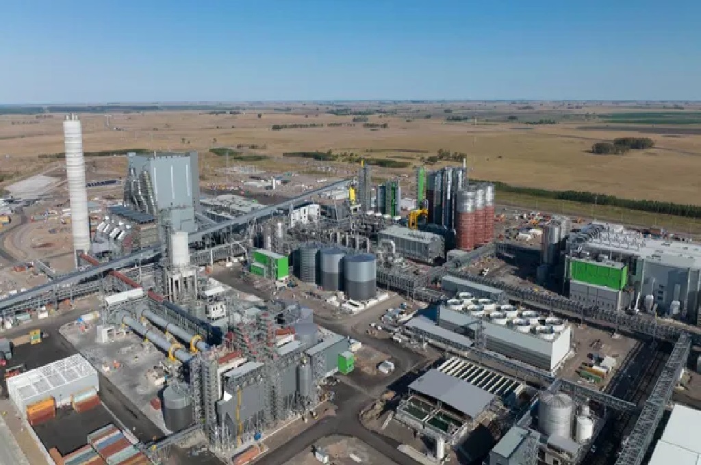 UPM2 y su competencia chilena Arauco presionan a la baja el precio de la celulosa