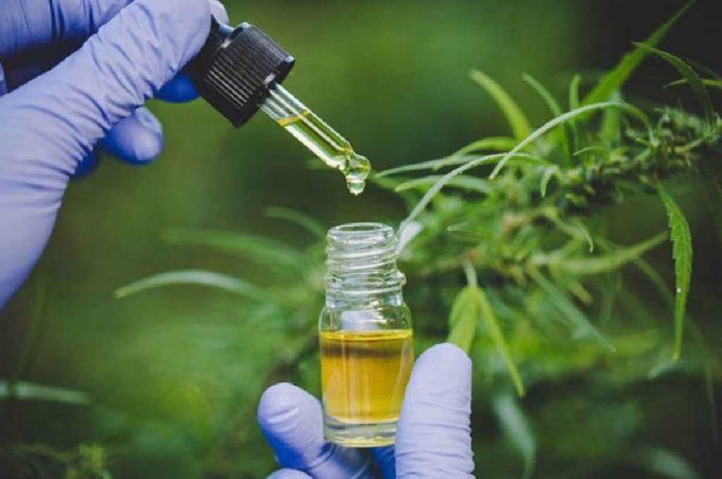 Resolución de la Corte Suprema obliga a IOSPER a cubrir la totalidad de costo del aceite de cannabis